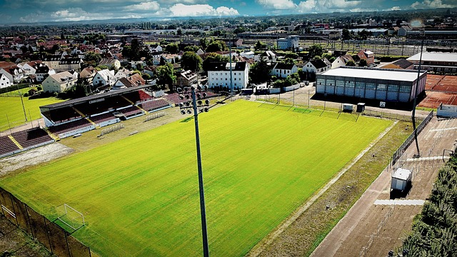 成阿尔瓦雷 成阿尔瓦雷